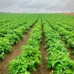 How to Transition Your Wardrobe from Spring to Summer