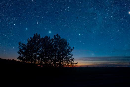 Best Places for Stargazing and Night Sky Vacations
