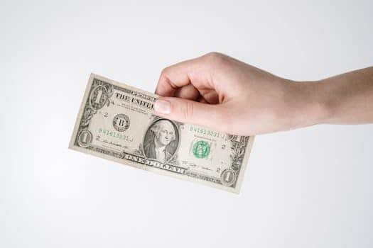 The Growth of Buy Now, Pay Later Payment Options