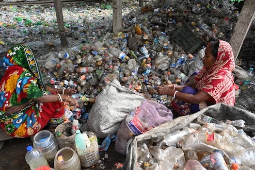 The Circular Economy: Shopping with Reuse and Recycling in Mind