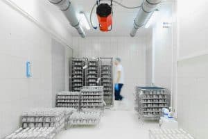 Supply Chain Resilience: Lessons from Recent Disruptions