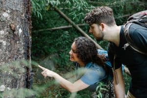 Best Hiking Destinations for Outdoor Enthusiasts