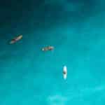 Traveling for Sports: Top Destinations for Fans