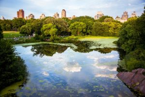 How New Tax Laws Are Impacting Real Estate Investors