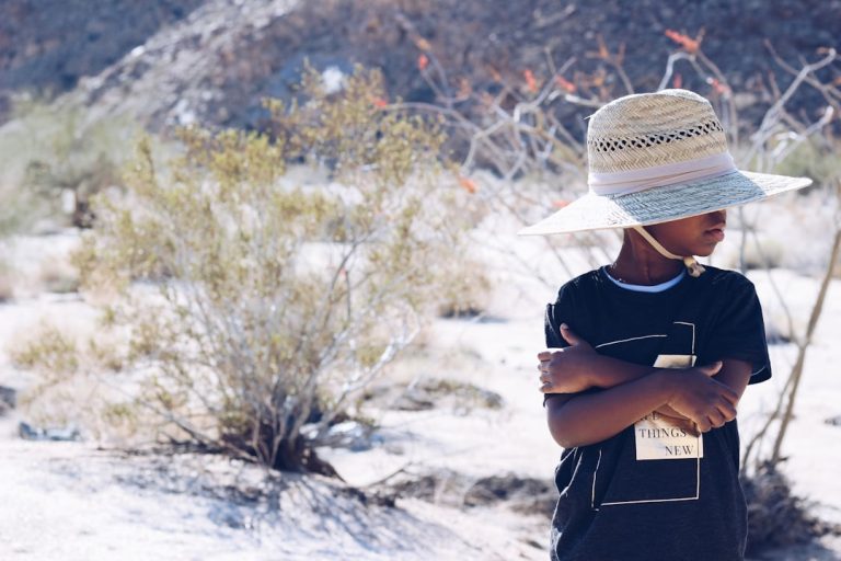 Culturally Responsive Curriculum: Reflecting Student Diversity