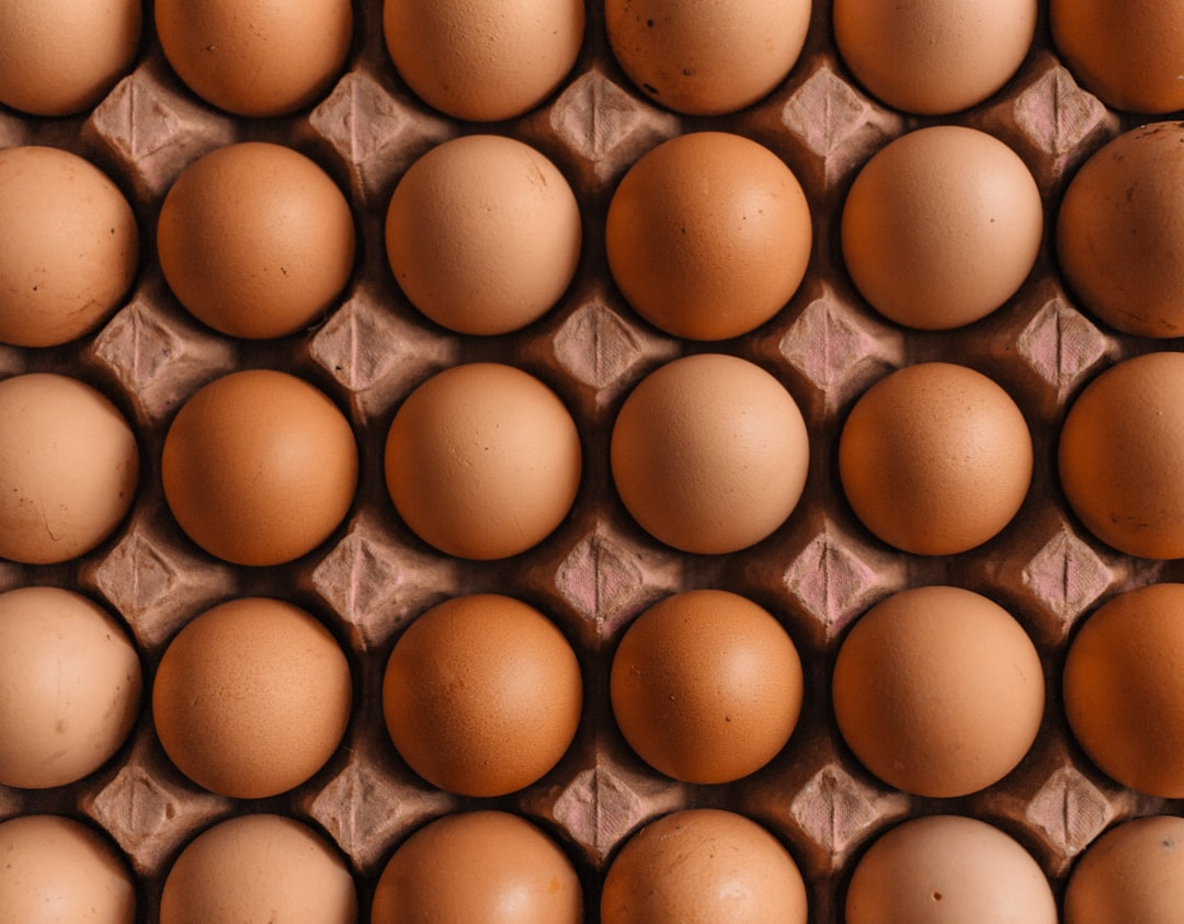 Viral Food Trends: What’s Hot on Social Media in 2025